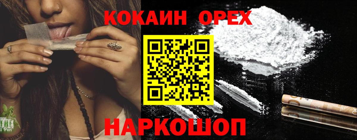 COCAIN Эквадор Куйбышев